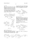 PROBE INCORPORATION MEDIATED BY ENZYMES diagram and image