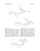 PROBE INCORPORATION MEDIATED BY ENZYMES diagram and image