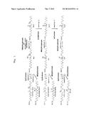 METHOD FOR PRODUCING OXO FATTY ACID AND RARE FATTY ACID diagram and image