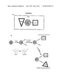 TRANSPORTER PROTEIN-COUPLED NANODEVICES FOR TARGETED DRUG DELIVERY diagram and image