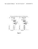 SELECTION OF NUCLEIC ACIDS BY SOLUTION HYBRIDIZATION TO OLIGONUCLEOTIDE     BAITS diagram and image