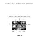 SELECTION OF NUCLEIC ACIDS BY SOLUTION HYBRIDIZATION TO OLIGONUCLEOTIDE     BAITS diagram and image