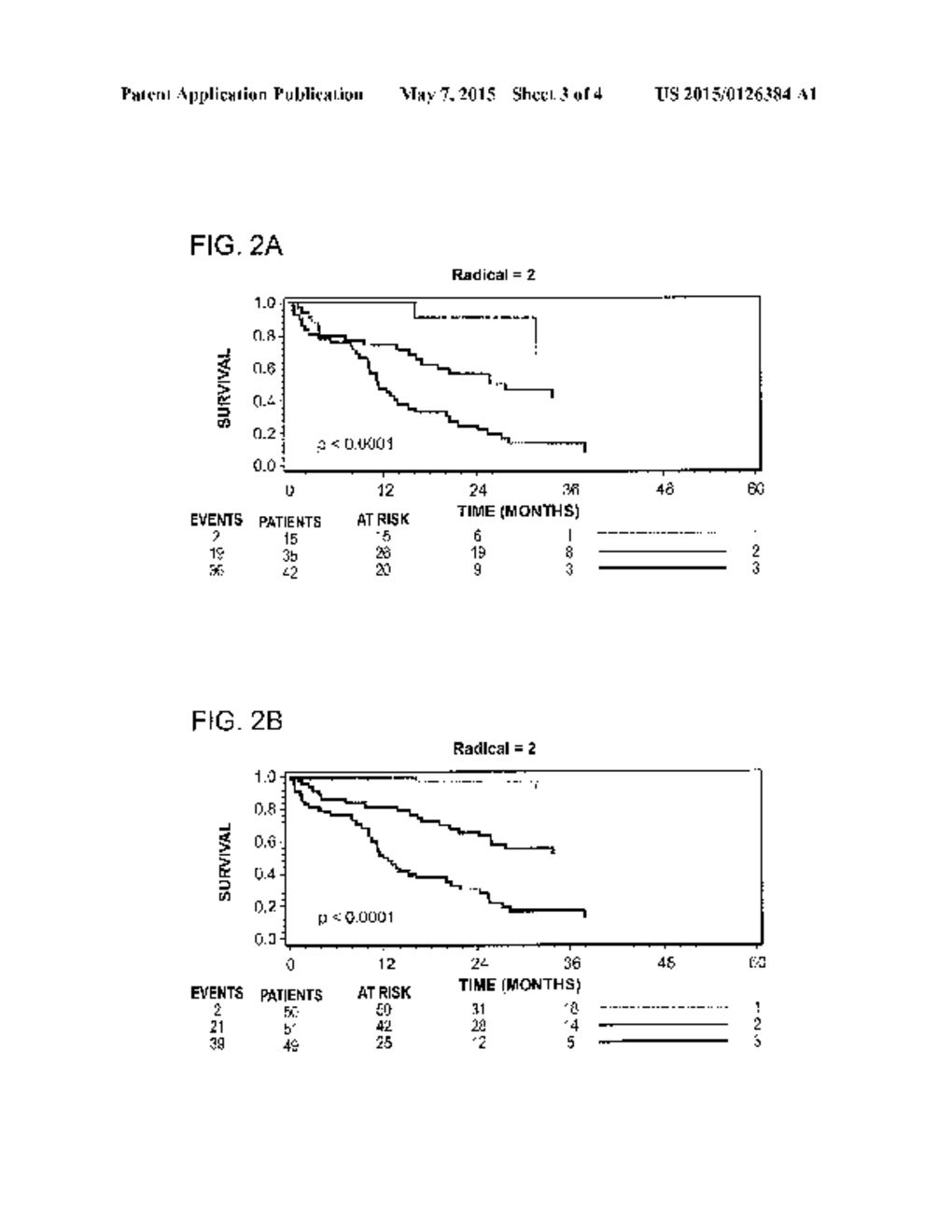 Prognostic Biomarkers in Patients with Ovarian Cancer - diagram, schematic, and image 04