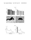 SURFACE ENHANCED RAMAN SPECTROSCOPY (SERS) MARKER CONJUGATES AND METHODS     OF THEIR PREPARATION diagram and image