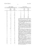 POLYPEPTIDE MARKERS FOR THE EARLY RECOGNITION OF THE REJECTION OF     TRANSPLANTED KIDNEYS diagram and image