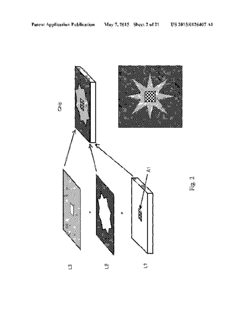 ARRAYS OF MICROPARTICLES AND METHODS OF PREPARATION THEREOF - diagram, schematic, and image 03