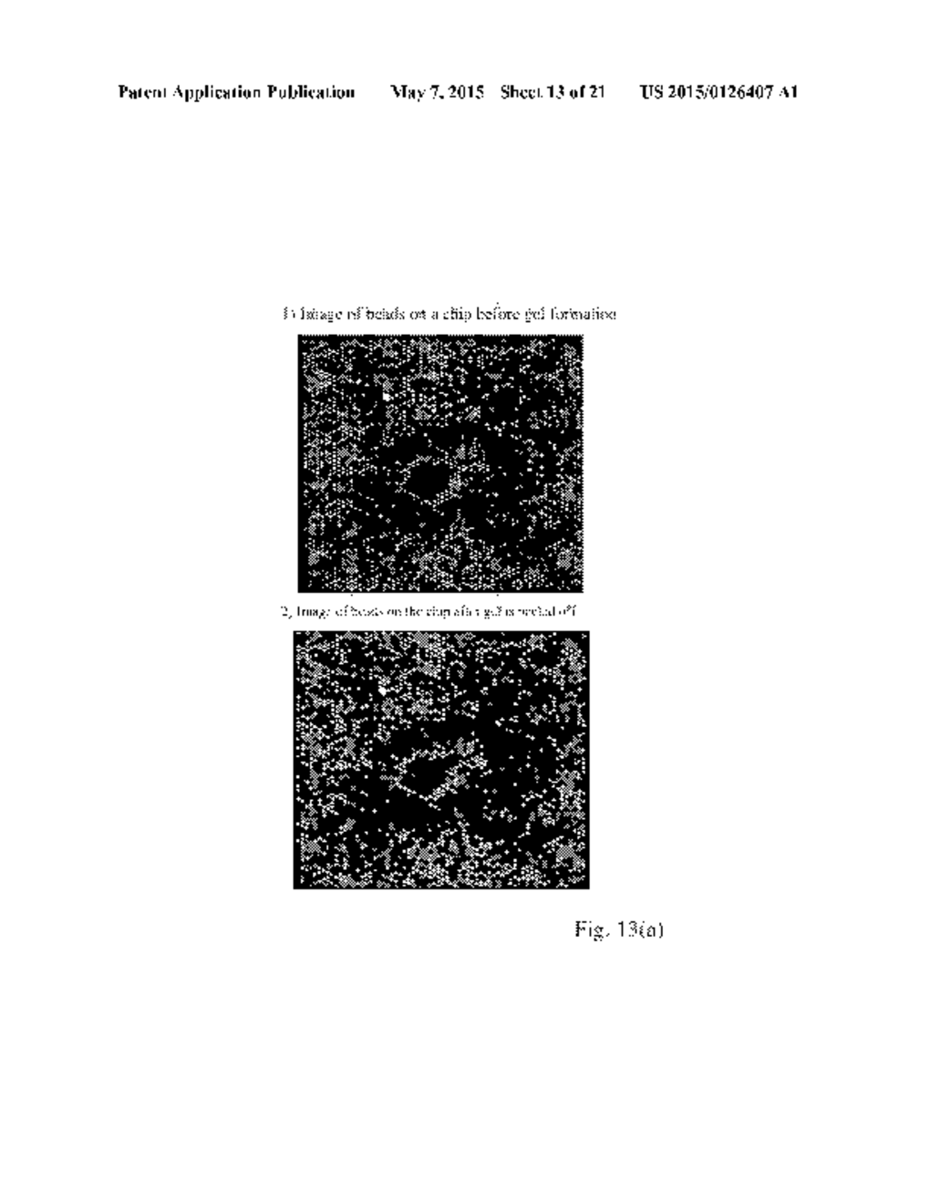 ARRAYS OF MICROPARTICLES AND METHODS OF PREPARATION THEREOF - diagram, schematic, and image 14