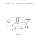 ANTI-ANTIBODY REAGENT diagram and image