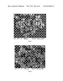 NANOSTRUCTURED MICROBIAL SENSORS diagram and image