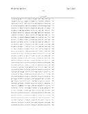 MEANS AND METHODS TO INCREASE ADENOVIRUS PRODUCTION diagram and image