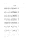 MEANS AND METHODS TO INCREASE ADENOVIRUS PRODUCTION diagram and image