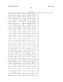 MEANS AND METHODS TO INCREASE ADENOVIRUS PRODUCTION diagram and image