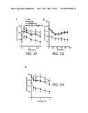 Novel ChREBP Isoforms and Methods Using the Same diagram and image