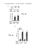 Novel ChREBP Isoforms and Methods Using the Same diagram and image