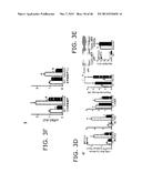 Novel ChREBP Isoforms and Methods Using the Same diagram and image