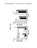 Novel ChREBP Isoforms and Methods Using the Same diagram and image