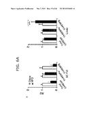 Novel ChREBP Isoforms and Methods Using the Same diagram and image