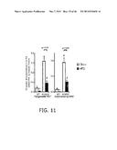 Novel ChREBP Isoforms and Methods Using the Same diagram and image