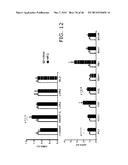 Novel ChREBP Isoforms and Methods Using the Same diagram and image