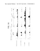 Novel ChREBP Isoforms and Methods Using the Same diagram and image