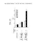 Novel ChREBP Isoforms and Methods Using the Same diagram and image