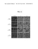 Novel ChREBP Isoforms and Methods Using the Same diagram and image