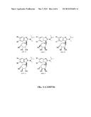 MARIBAVIR ISOMERS, COMPOSITIONS, METHODS OF MAKING AND METHODS OF USING diagram and image