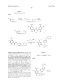 Triazole Compounds that Modulate HSP90 Activity diagram and image