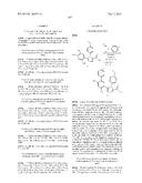 Triazole Compounds that Modulate HSP90 Activity diagram and image