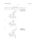 Triazole Compounds that Modulate HSP90 Activity diagram and image