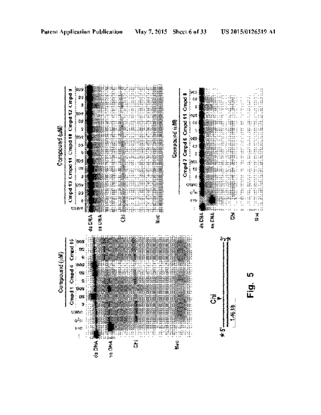 ANTIBIOTIC COMPOUNDS AND COMPOSITIONS, AND METHODS FOR IDENTIFICATION     THEREOF - diagram, schematic, and image 07