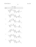 ANTIPARISITIC AND PESTICIDAL ISOXAZOLINE COMPOUNDS diagram and image