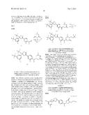 ANTIPARISITIC AND PESTICIDAL ISOXAZOLINE COMPOUNDS diagram and image