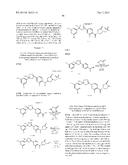 ANTIPARISITIC AND PESTICIDAL ISOXAZOLINE COMPOUNDS diagram and image