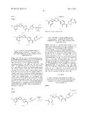 ANTIPARISITIC AND PESTICIDAL ISOXAZOLINE COMPOUNDS diagram and image