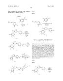 ANTIPARISITIC AND PESTICIDAL ISOXAZOLINE COMPOUNDS diagram and image