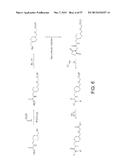 MODULATORS OF THE PROSTACYCLIN (PGI2) RECEPTOR USEFUL FOR THE TREATMENT OF     DISORDERS RELATED THERETO diagram and image