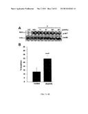 SMALL MOLECULE INHIBITORS OF THE PLECKSTRIN HOMOLOGY DOMAIN AND METHODS     FOR USING SAME diagram and image