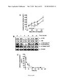 SMALL MOLECULE INHIBITORS OF THE PLECKSTRIN HOMOLOGY DOMAIN AND METHODS     FOR USING SAME diagram and image