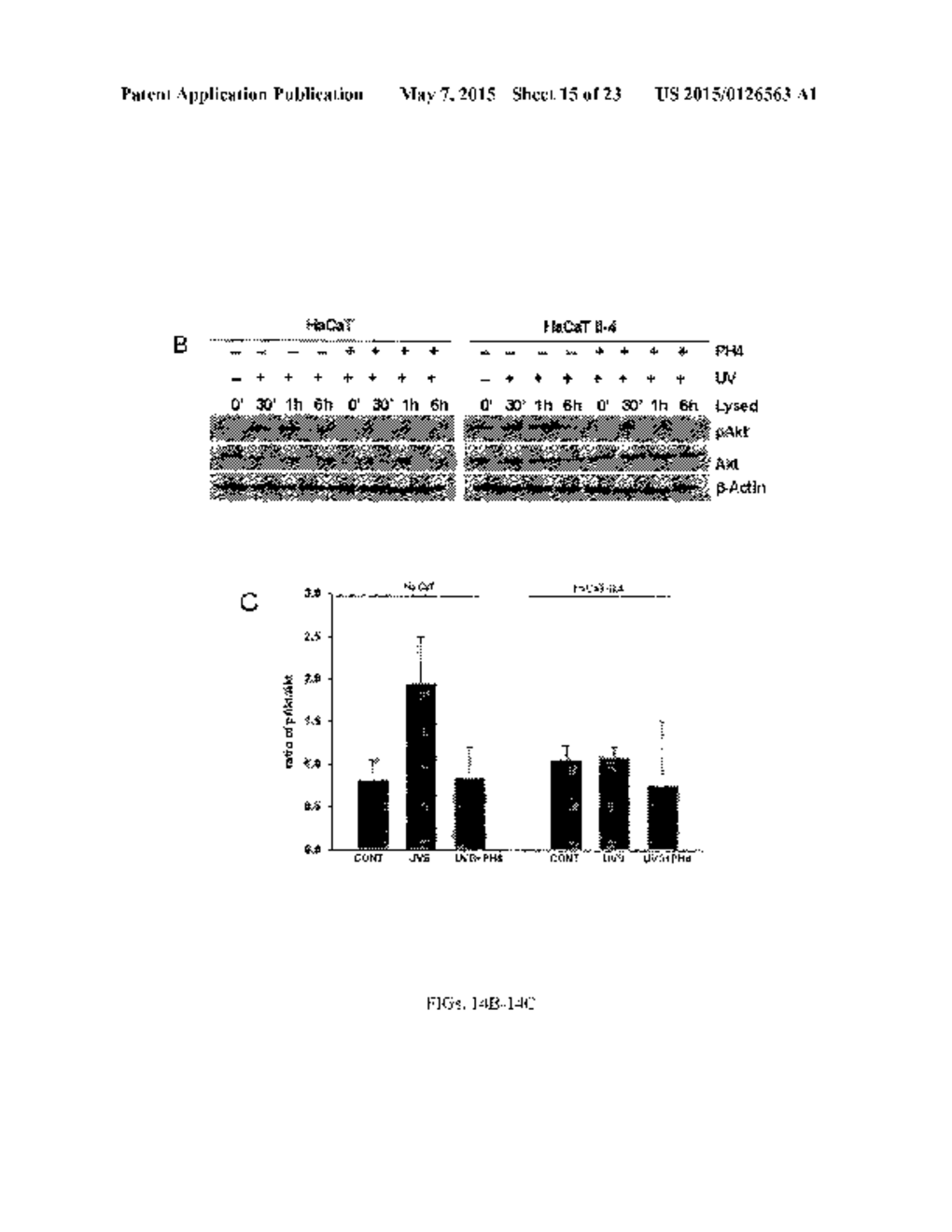 SMALL MOLECULE INHIBITORS OF THE PLECKSTRIN HOMOLOGY DOMAIN AND METHODS     FOR USING SAME - diagram, schematic, and image 16