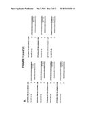 MicroRNAs and Uses Thereof diagram and image