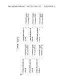 MicroRNAs and Uses Thereof diagram and image