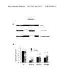 MicroRNAs and Uses Thereof diagram and image