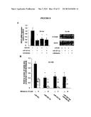 MicroRNAs and Uses Thereof diagram and image