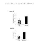 Treatment of Pulmonary and Pleural Fibrosis Using HSP27 Inhibitors diagram and image