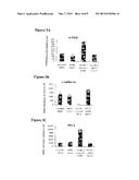 Treatment of Pulmonary and Pleural Fibrosis Using HSP27 Inhibitors diagram and image