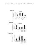 Treatment of Pulmonary and Pleural Fibrosis Using HSP27 Inhibitors diagram and image