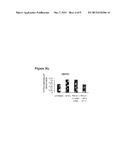 Treatment of Pulmonary and Pleural Fibrosis Using HSP27 Inhibitors diagram and image