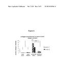 Treatment of Pulmonary and Pleural Fibrosis Using HSP27 Inhibitors diagram and image