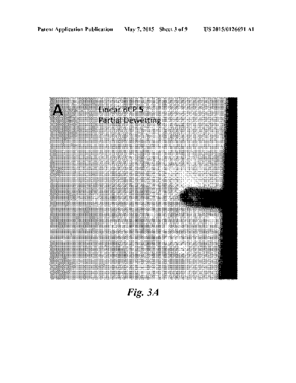 Multiple Copolymer Systems as Templates for Block Copolymer     Nanolithography - diagram, schematic, and image 04